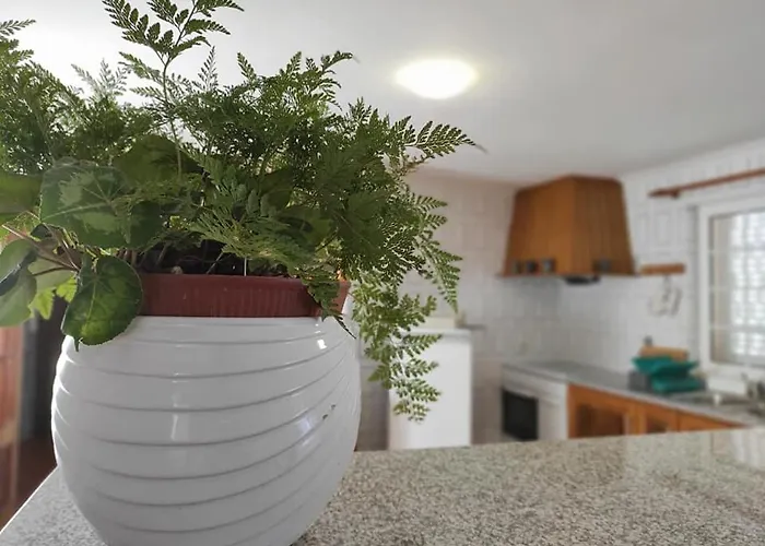 Casa Do Canastro Hébergement de vacances Vouzela